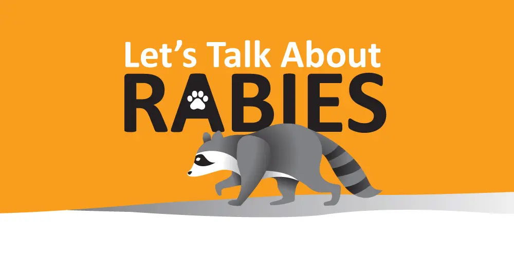 lets talk about rabies.jpg copy