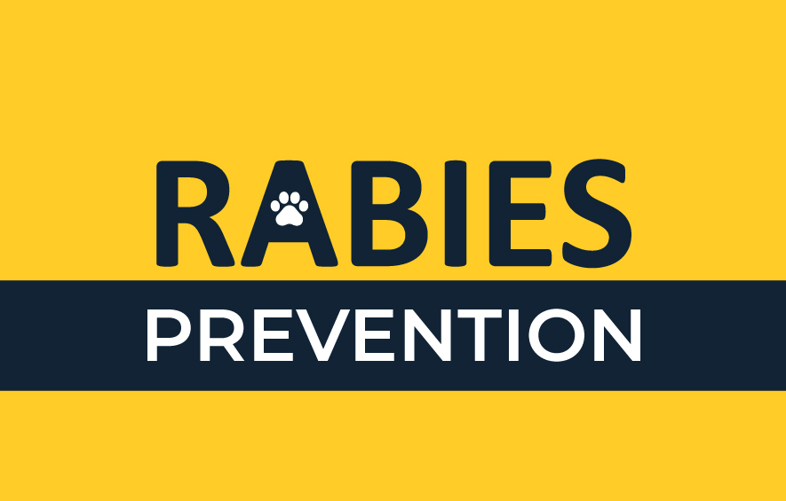 RabiesPrevention
